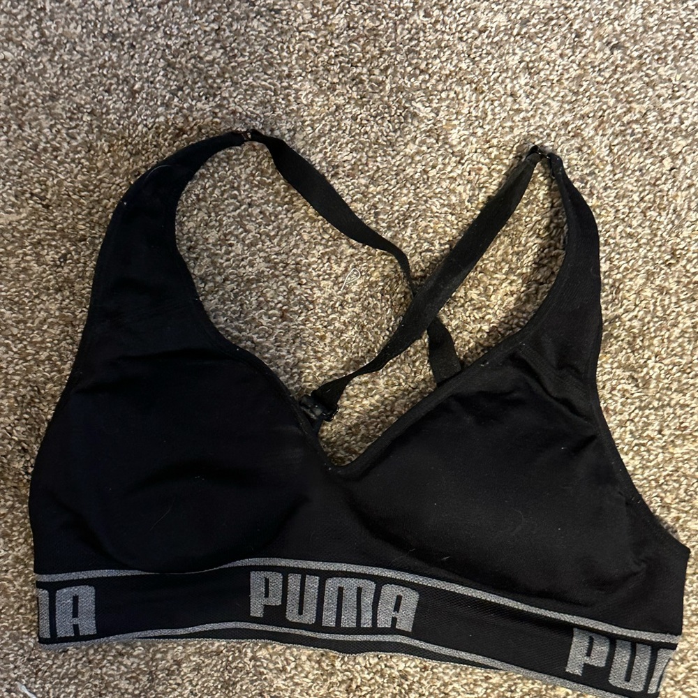Puma. medium